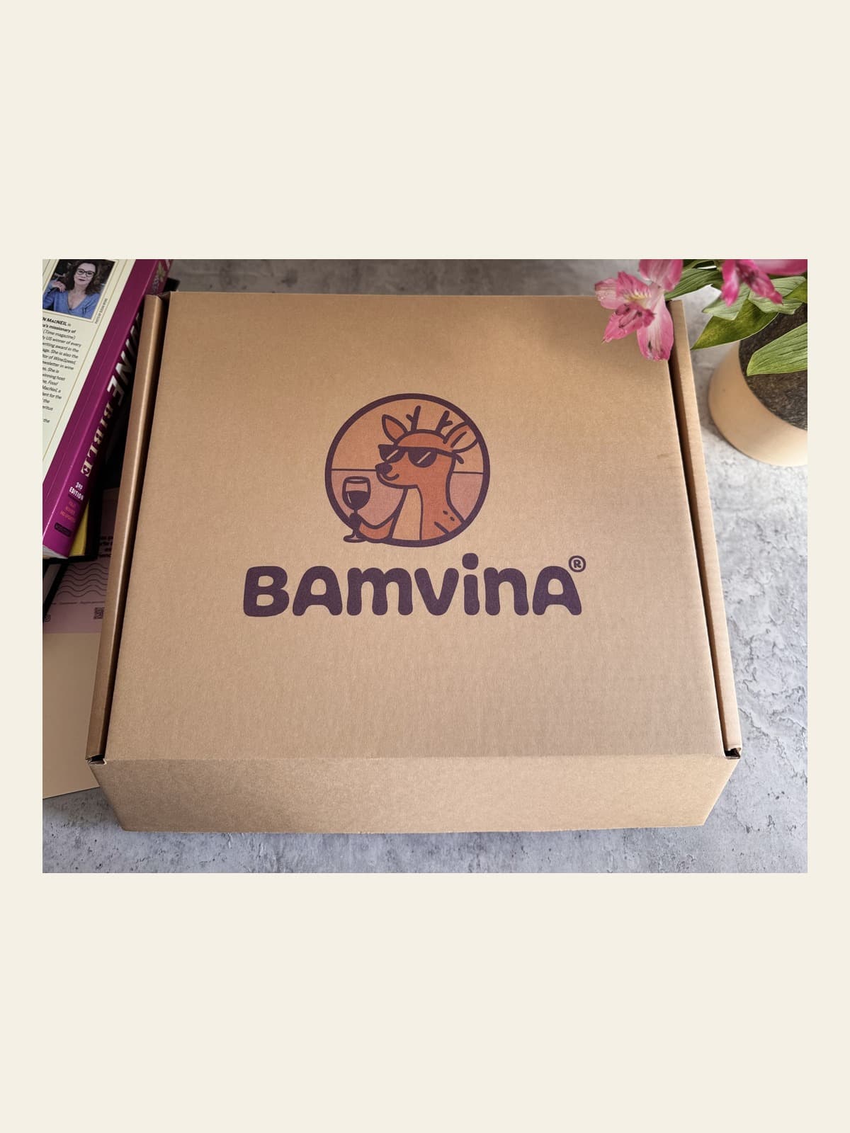 Caja Bamvina para empresas